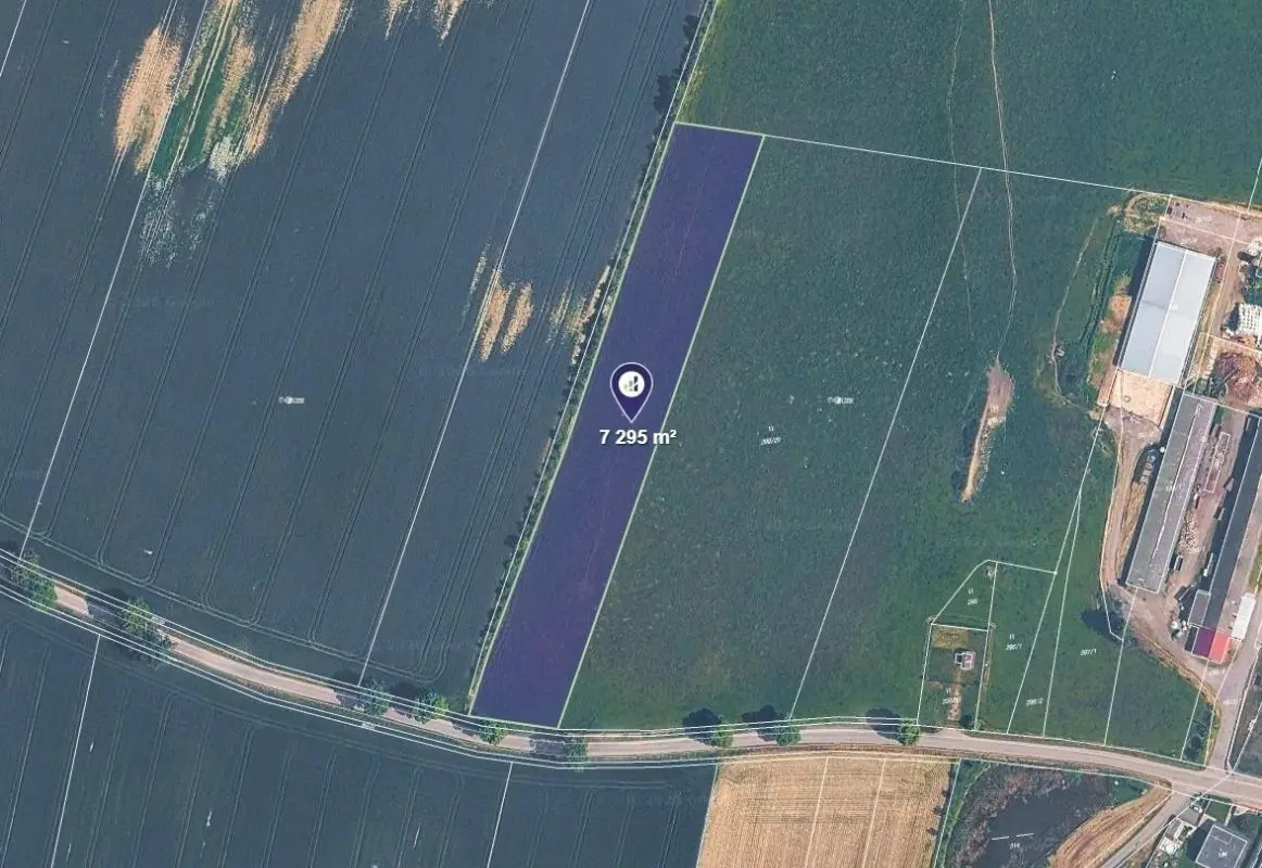 Prodej pozemku 7295 m², Borkovice