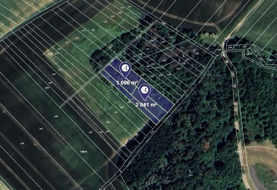 Prodej pozemku 3137 m², Určice