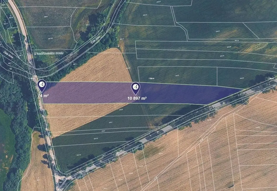 Prodej pozemku 5486 m², Lomnice nad Lužnicí
