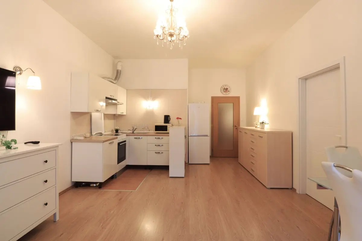 Pronájem bytu 2+kk 56 m², Březenská · Libeň