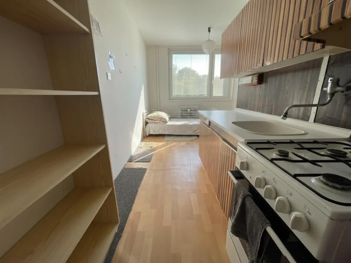 Prodej bytu 1+1 39 m², Polní · Jihlava