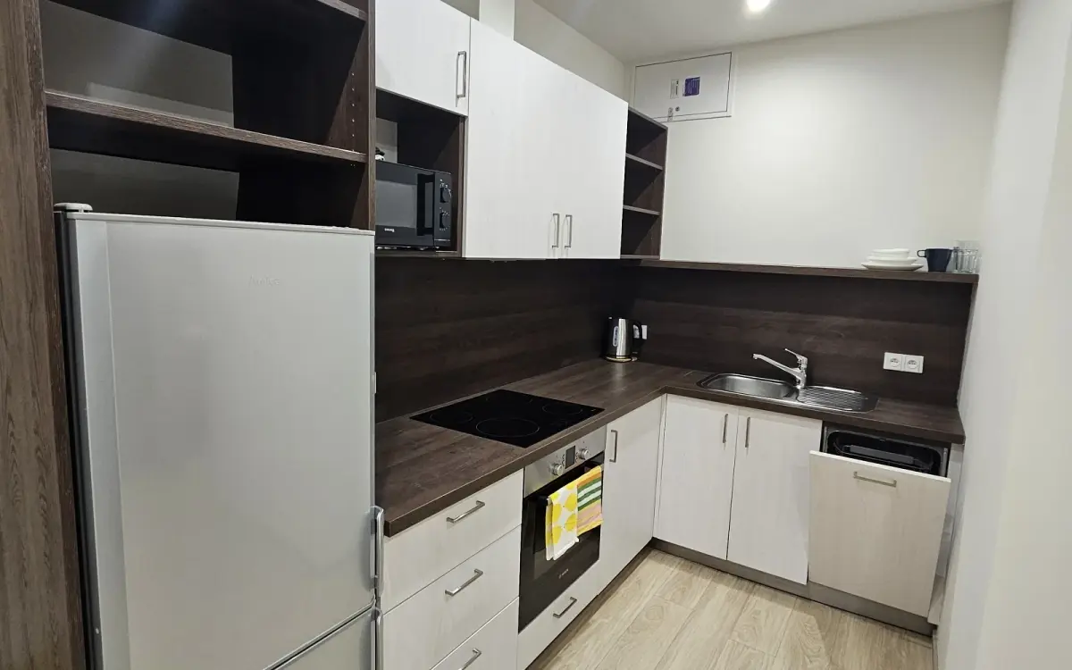 Pronájem bytu 1+1 41 m², Pekařská · Staré Brno · Brno