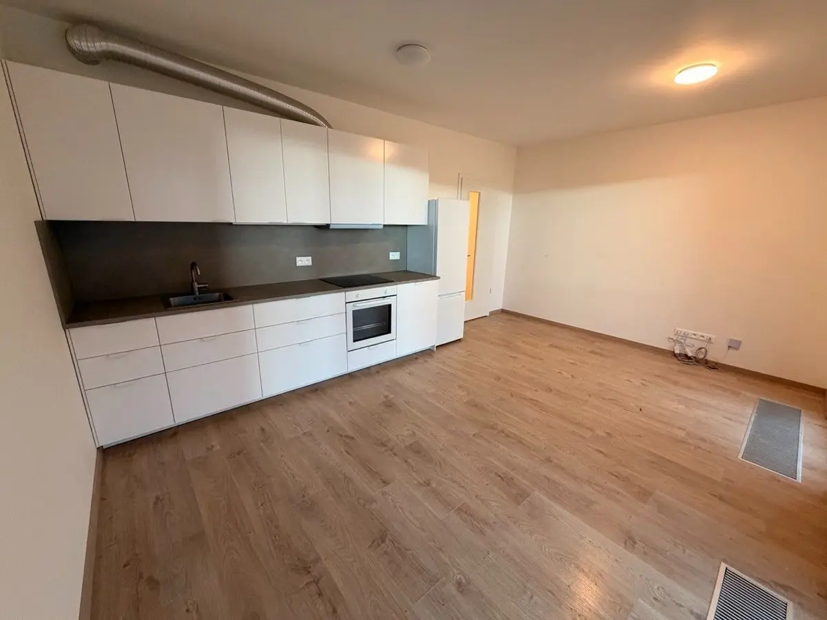 Pronájem bytu 2+kk 40 m², Haenkeho · Řeporyje