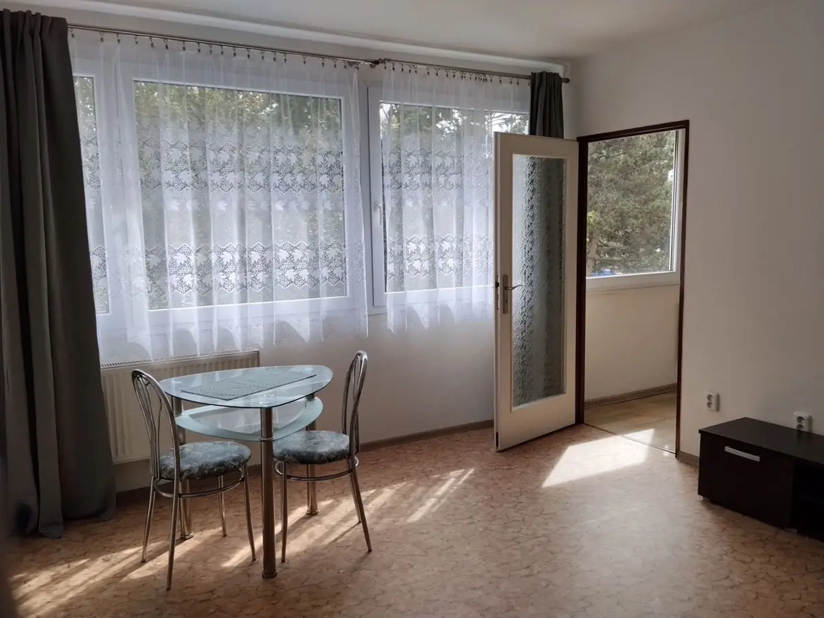 Pronájem bytu 1+1 27 m², Polní · Slezské Předměstí · Hradec Králové
