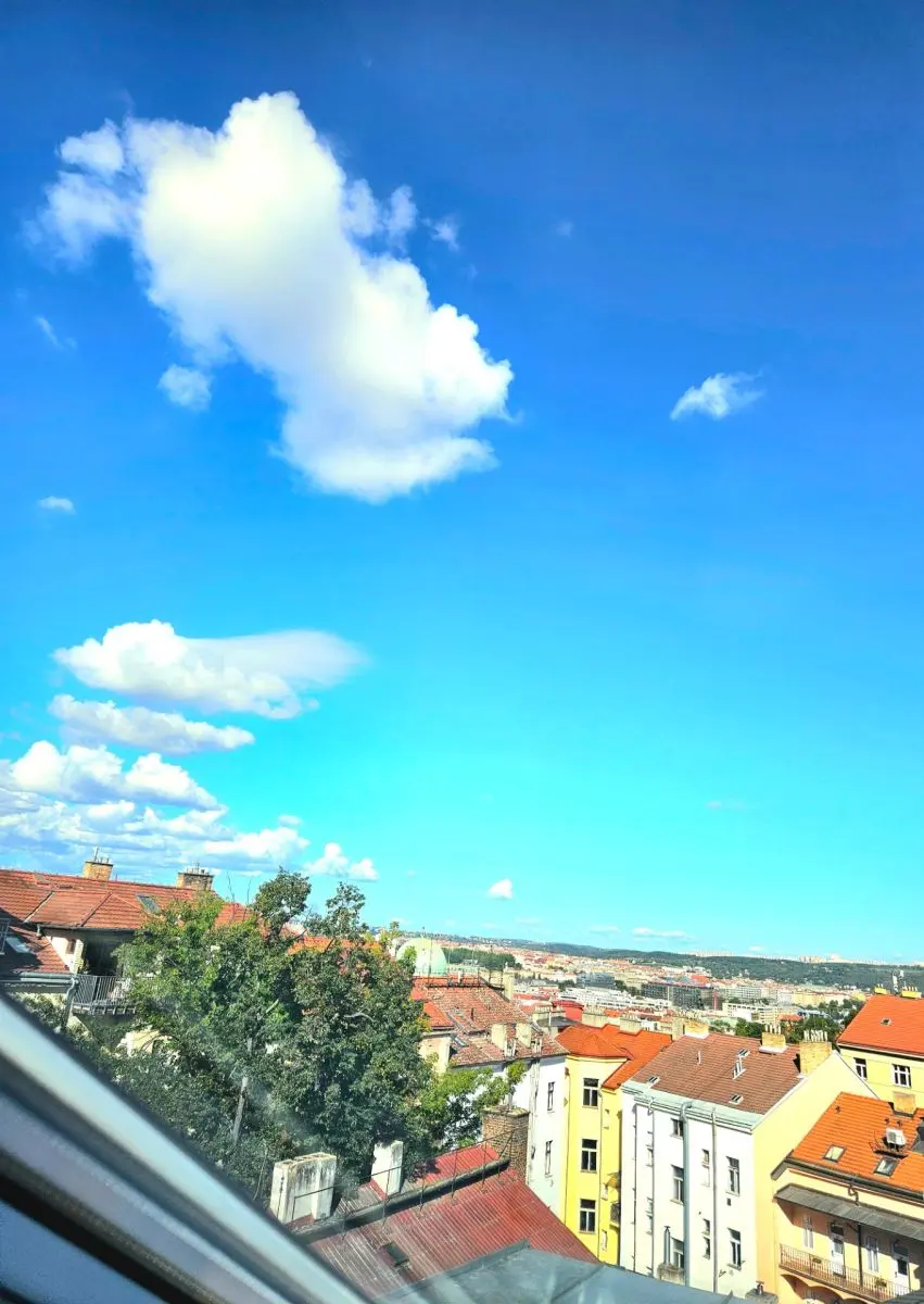 Pronájem bytu 2+1 59 m², Vlkova · Žižkov