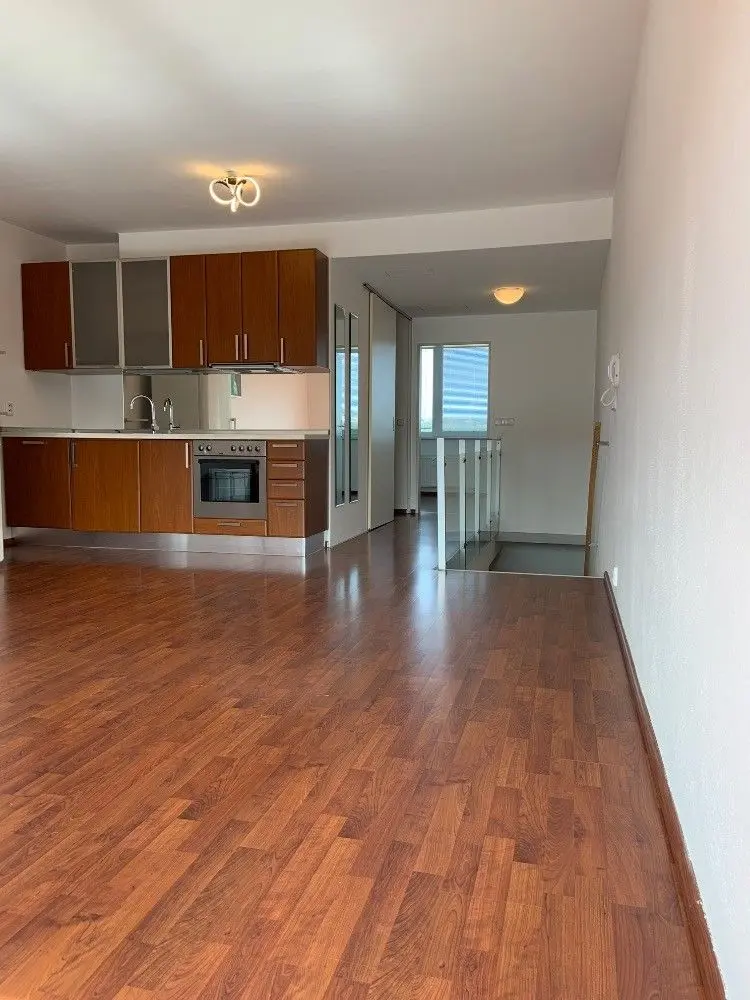 Pronájem bytu 2+kk 63 m², Skloněná · Vysočany