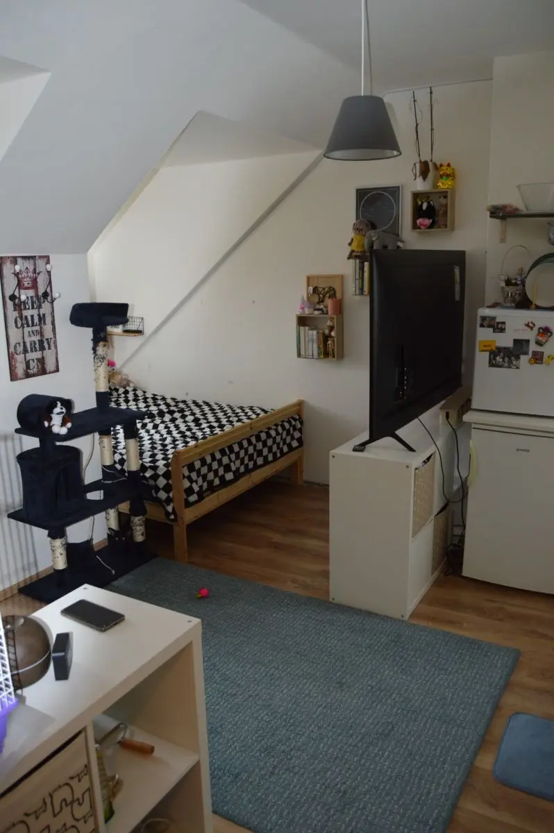 Pronájem bytu 1+kk 27 m², Újezd · Malá Strana