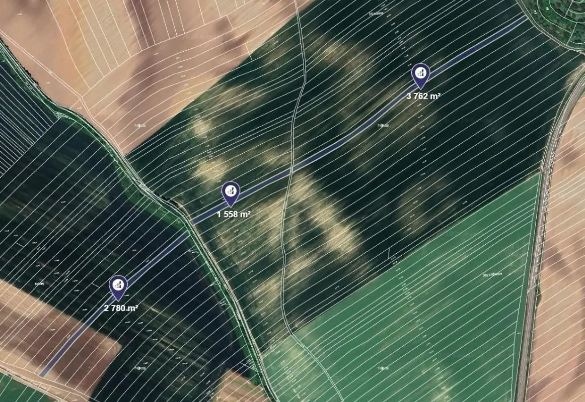 Prodej pozemku 8100 m², Čejkovice