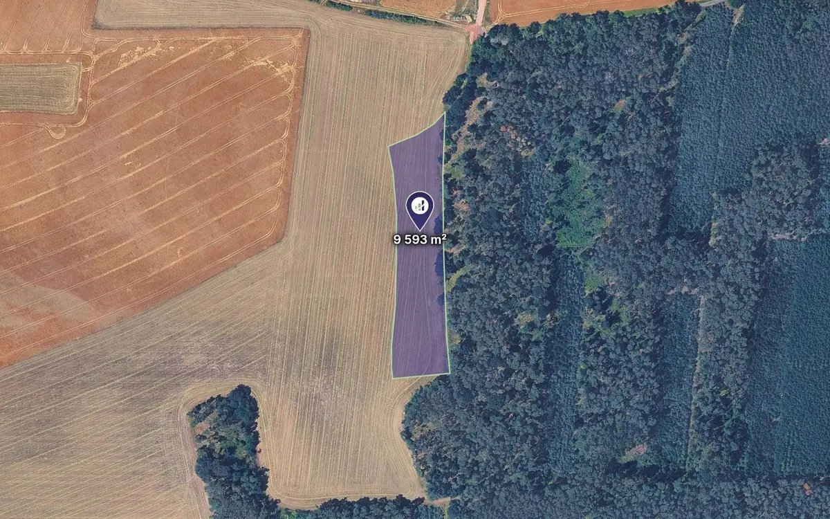 Prodej pozemku 4796 m², Kojovice · Kropáčova Vrutice