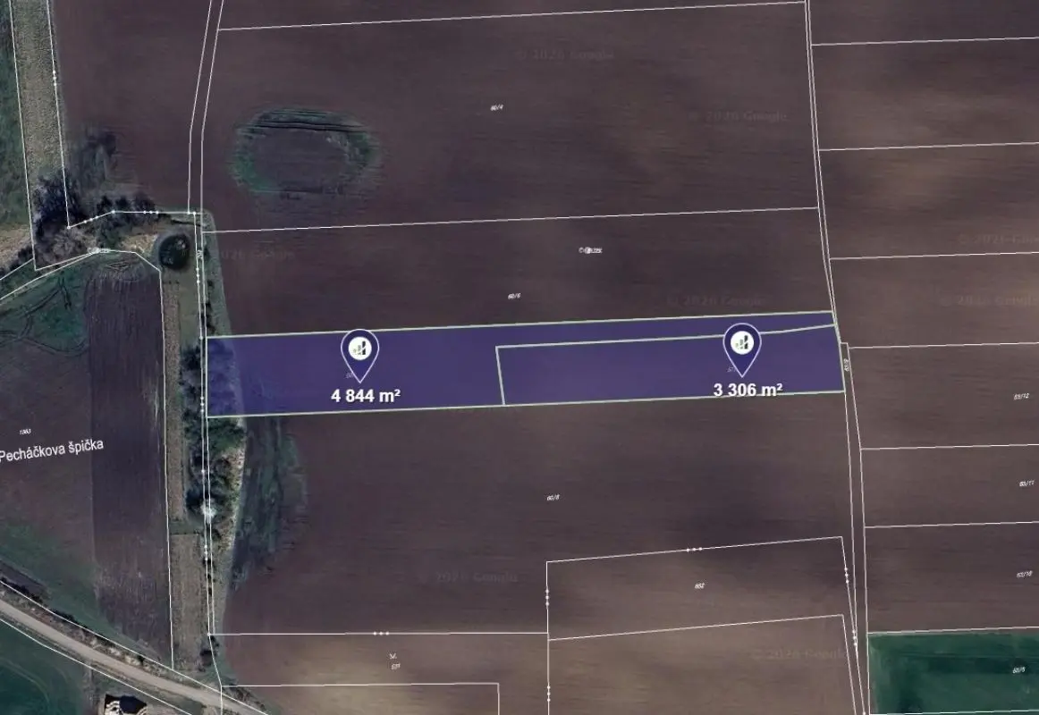 Prodej pozemku 8 m², Černíky