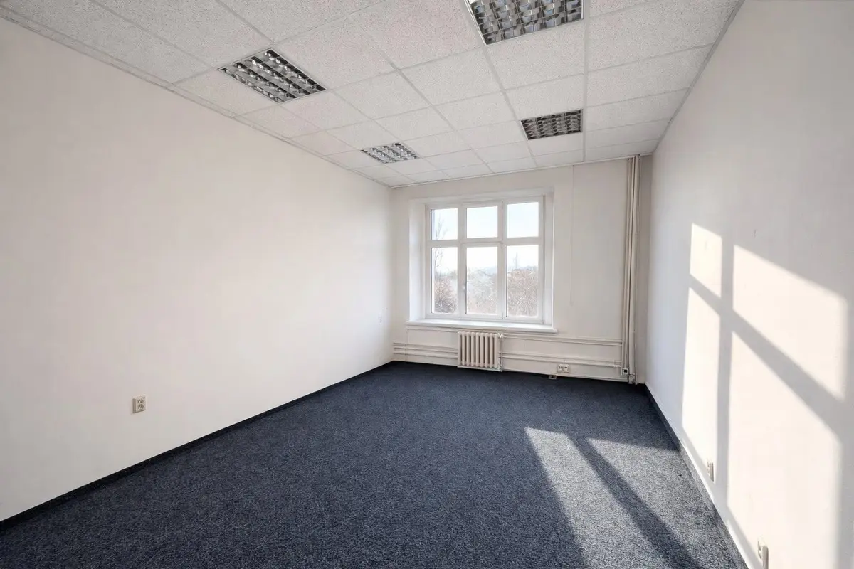 Pronájem komerčního prostoru 20 m², Rajská · Holešovice