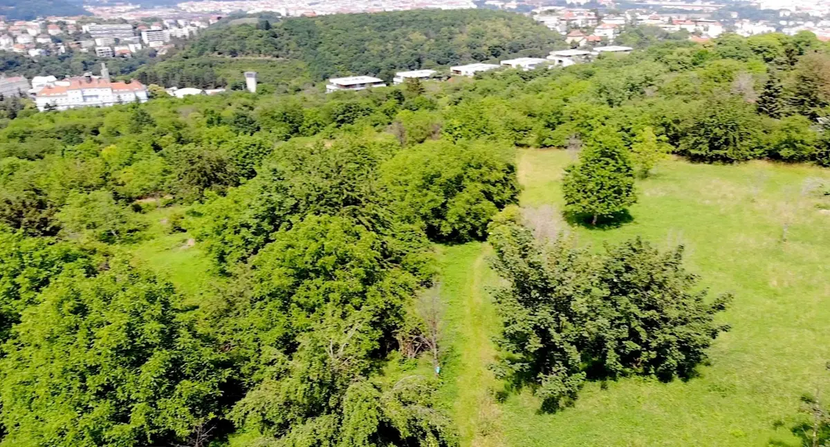 Prodej pozemku 18966 m², Praha - Radlice