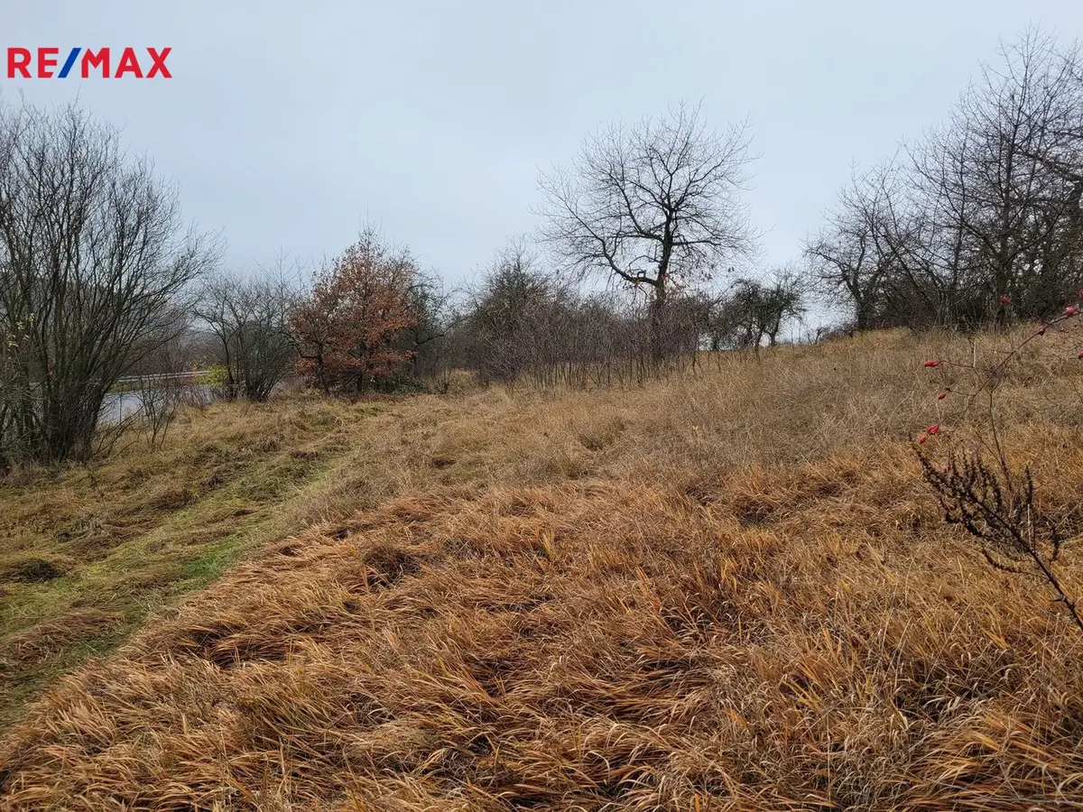 Prodej pozemku 6483 m², Třebsko – část obce
