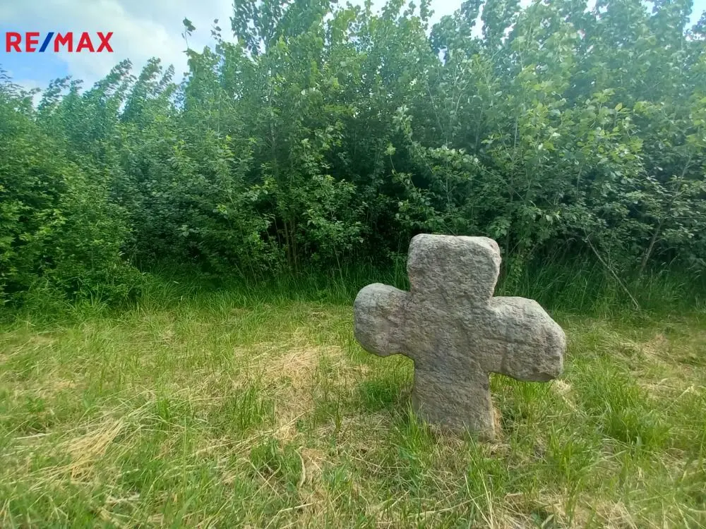 Prodej pozemku 17750 m², Doubravice – část obce Doubravice u Dvora Králové