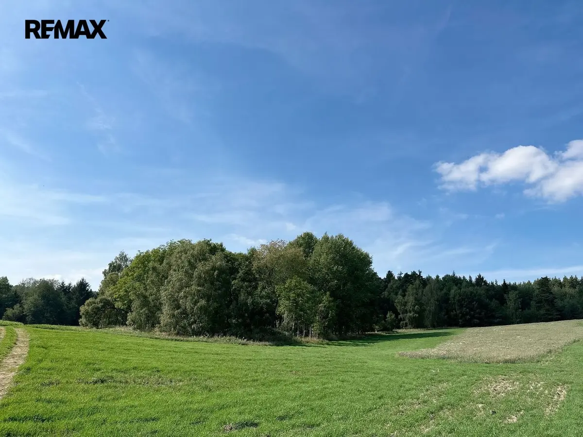 Prodej pozemku 12651 m², Dlouhý Újezd · okres Tachov