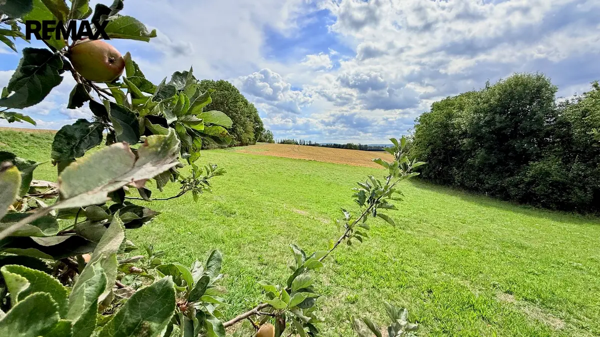 Prodej pozemku 2585 m², Jedlá · okres Havlíčkův Brod