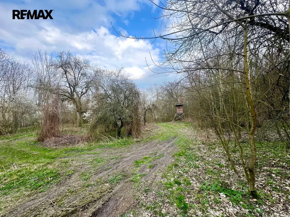 Prodej pozemku 6042 m², Bezděkov u Žatce · Žatec