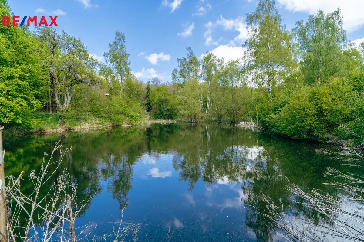 Prodej pozemku 28310 m², Střítež – část obce Střítež u Bukova