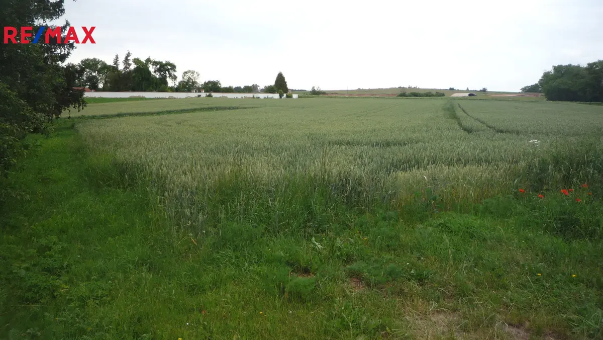 Prodej pozemku 985 m², Hořesedly · okres Rakovník