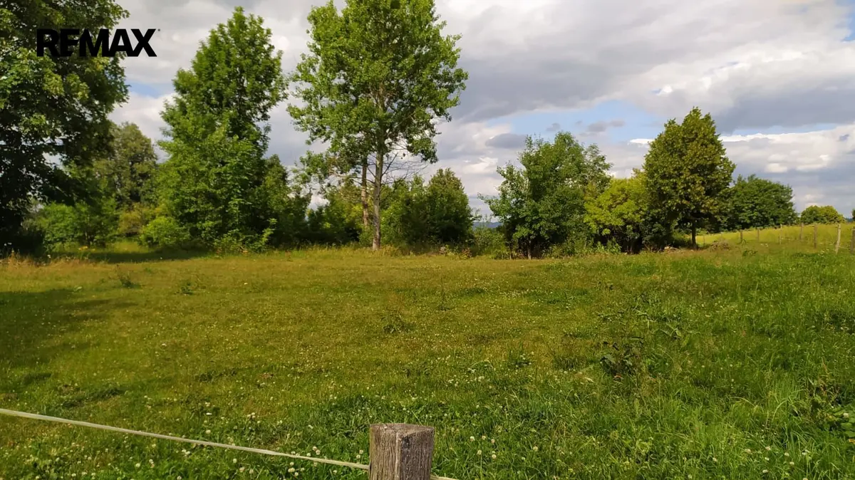 Prodej pozemku 7880 m², Mladějov na Moravě · okres Svitavy