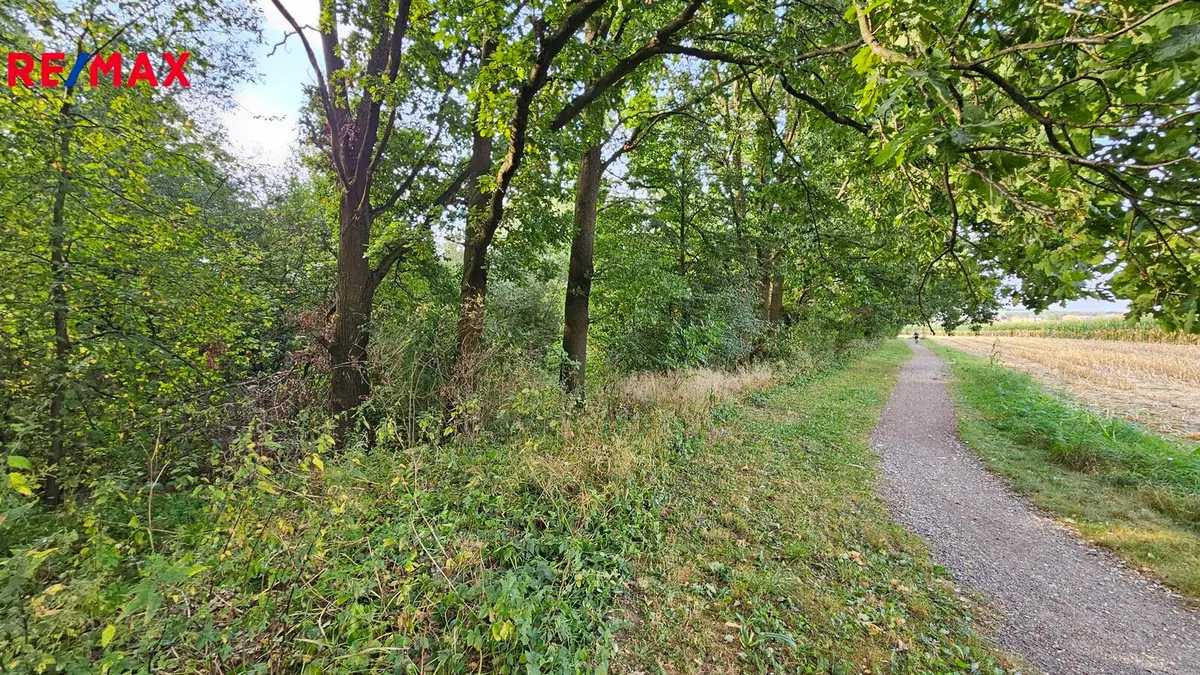 Prodej pozemku 2997 m², Roudné · okres České Budějovice