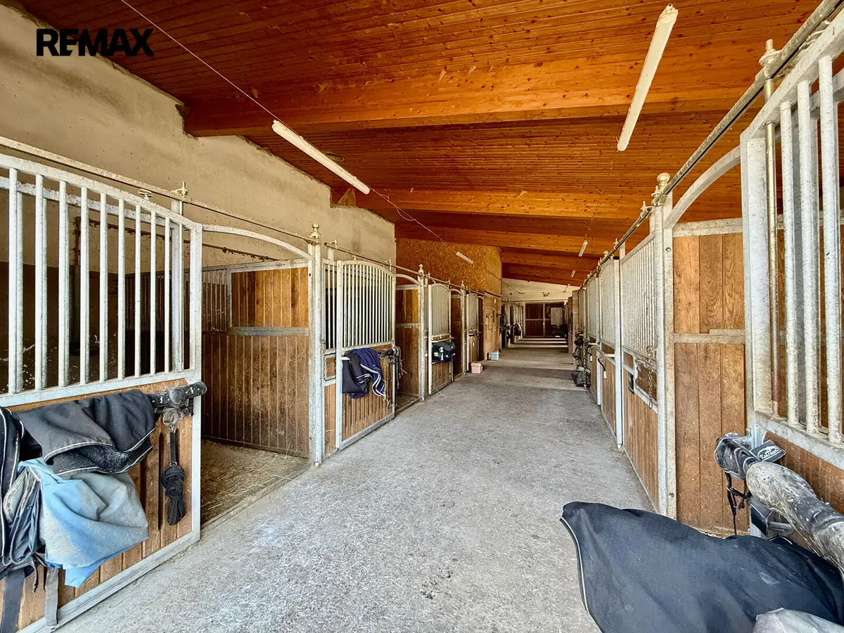 Prodej komerčního prostoru 1300 m², Spálené Poříčí · okres Plzeň-jih