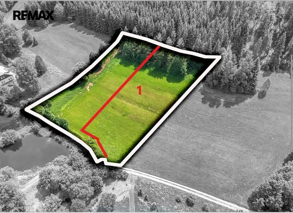 Prodej pozemku 3948 m², Červená Voda – část obce Moravský Karlov