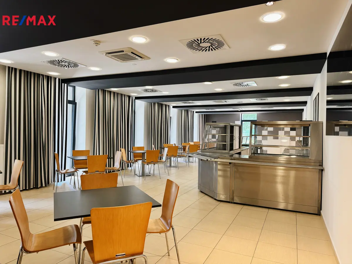 Pronájem komerčního prostoru 362 m², Vladislavova · Písek