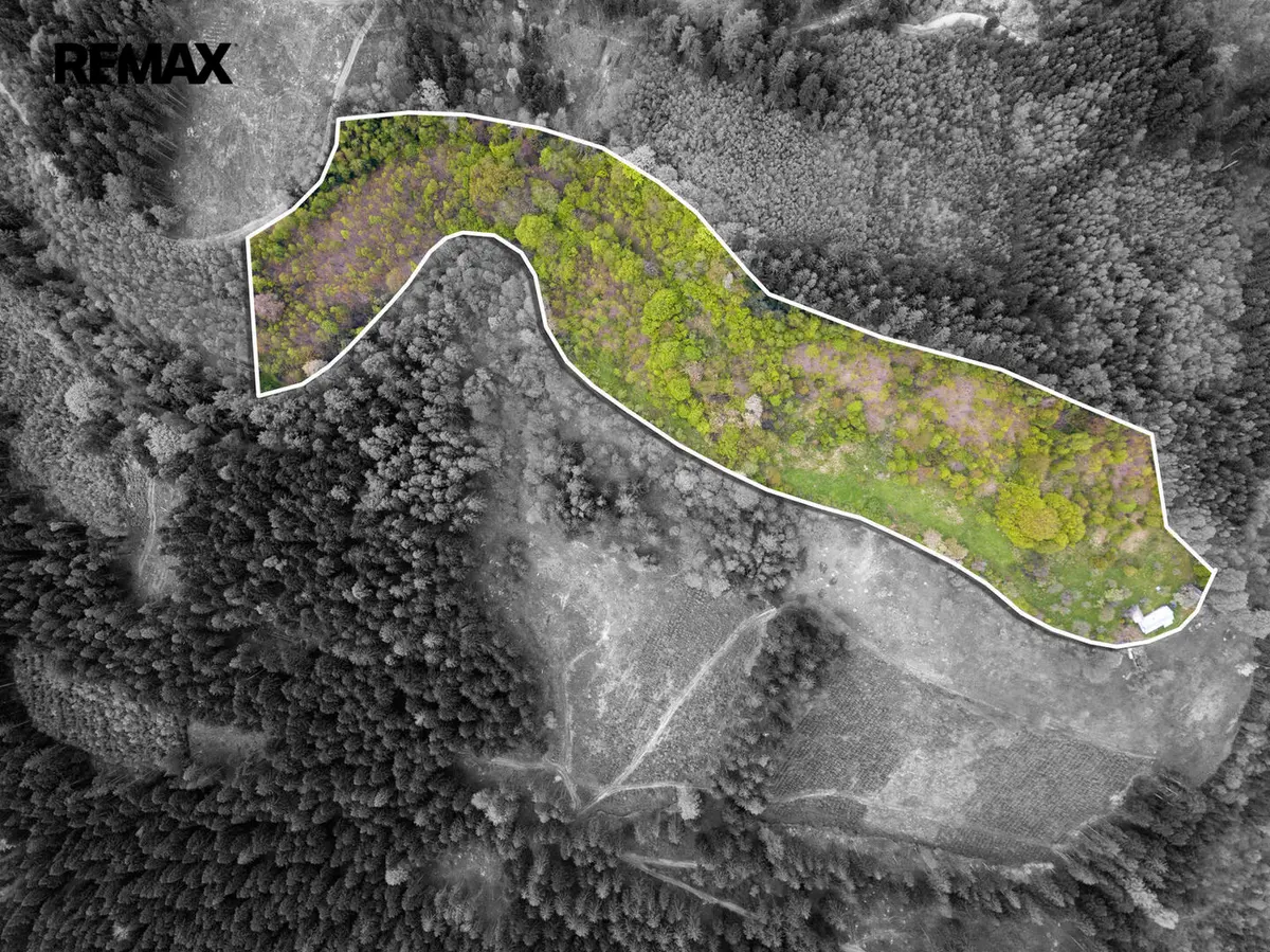 Prodej chaty / chalupy 158 m², Liptál · okres Vsetín
