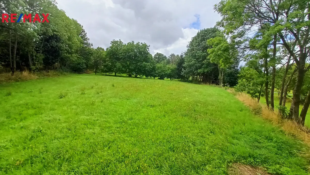 Prodej pozemku 1913 m², Borotín – část obce Libenice u Tábora