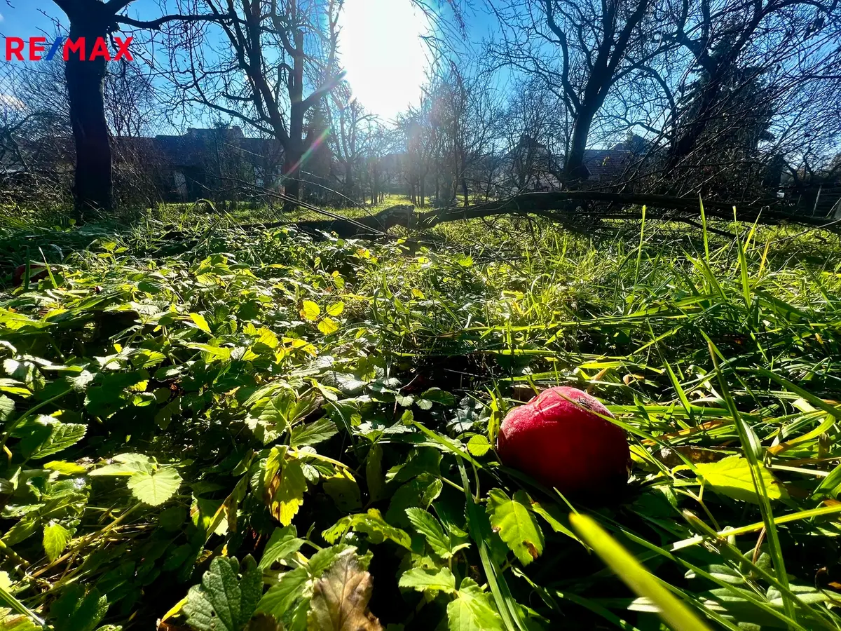 Prodej pozemku 1608 m², Podolí – část obce Podolí nad Olšavou