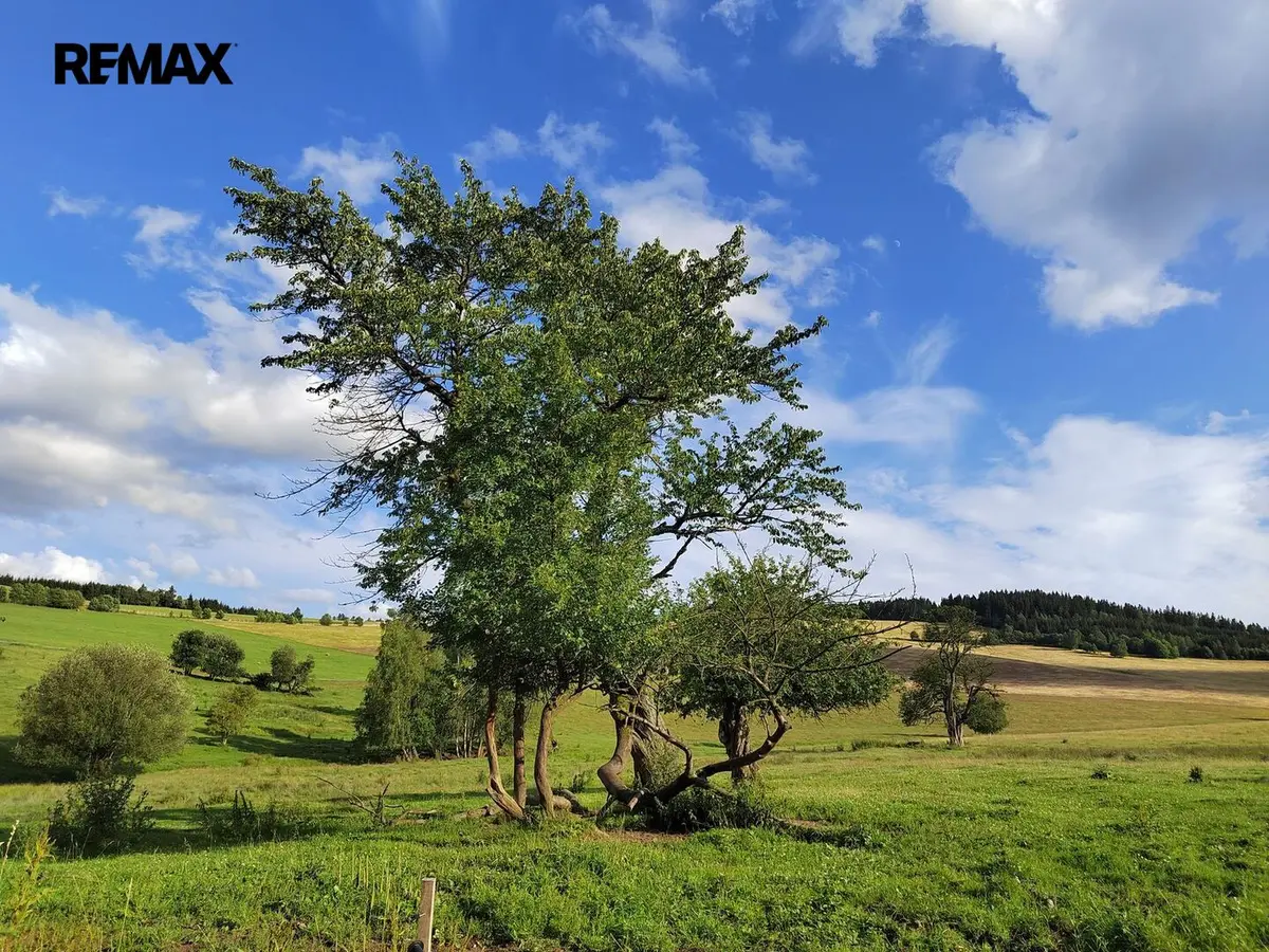 Prodej pozemku 1039 m², Křivá Voda · Malá Morava