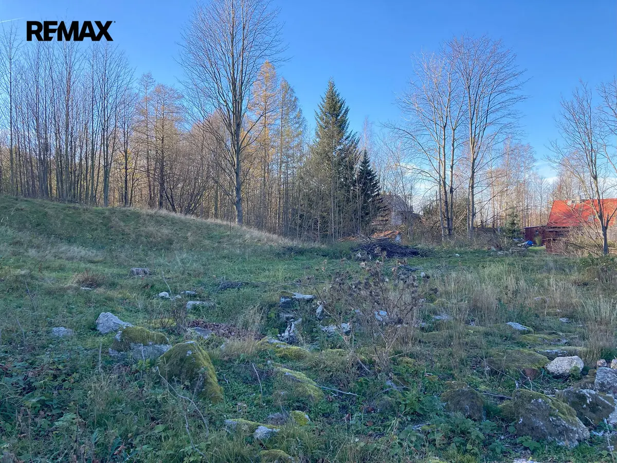 Prodej pozemku 6645 m², Bílý Potok – část obce Bílý Potok pod Smrkem