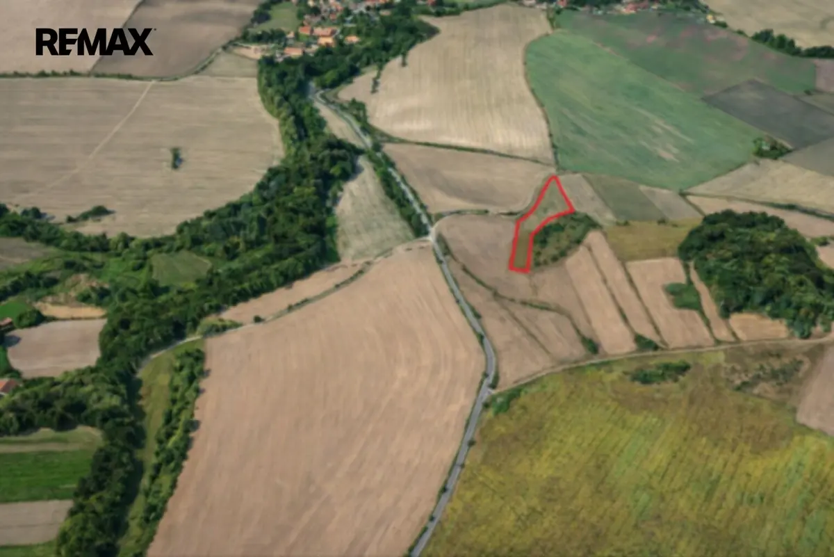 Prodej pozemku 6121 m², Číčovice – část obce Velké Číčovice