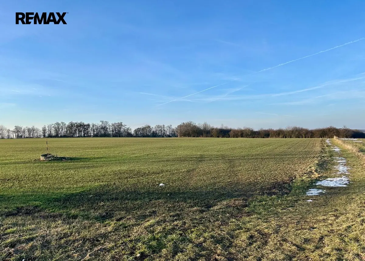 Prodej pozemku 67156 m², Velké Přílepy · okres Praha-západ