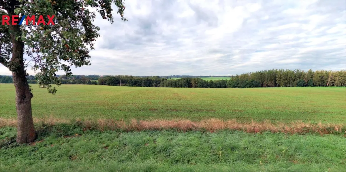 Prodej pozemku 22505 m², Korotice · Úmonín