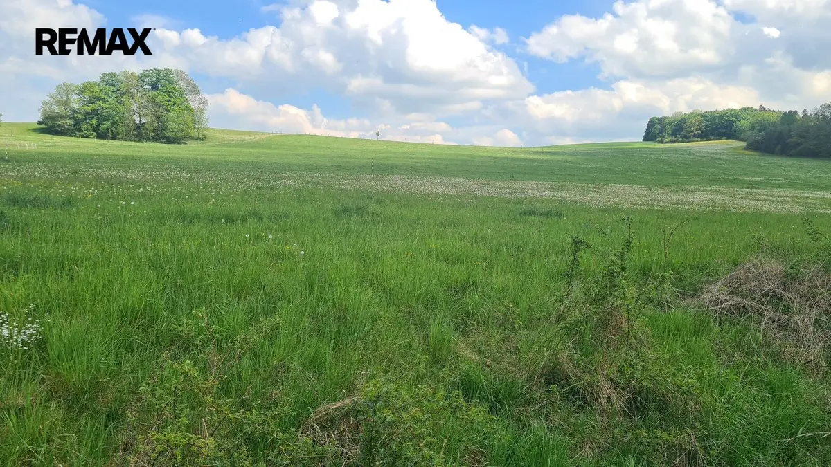 Prodej pozemku 7058 m², Čížkov – část obce Čížkov u Blovic
