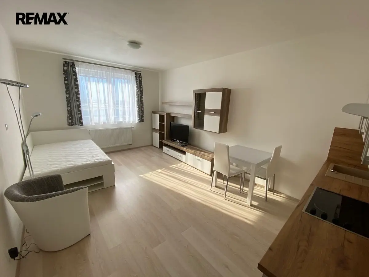 Pronájem bytu 1+kk 29 m², Technická · Plzeň
