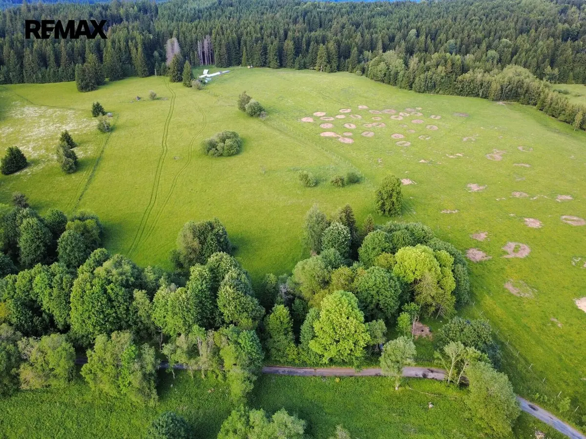 Prodej pozemku 2281 m², Stará Knížecí Huť · Lesná