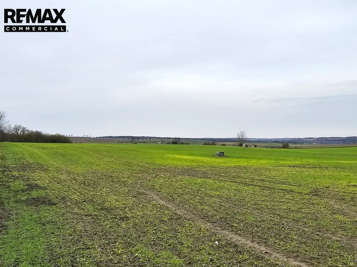 Prodej pozemku 16025 m², Benátky nad Jizerou – část obce Staré Benátky
