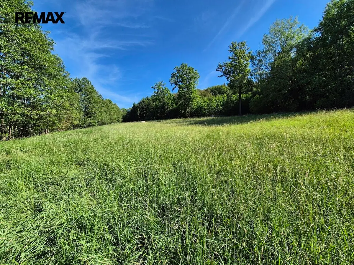 Prodej pozemku 5761 m², Netolice · okres Prachatice