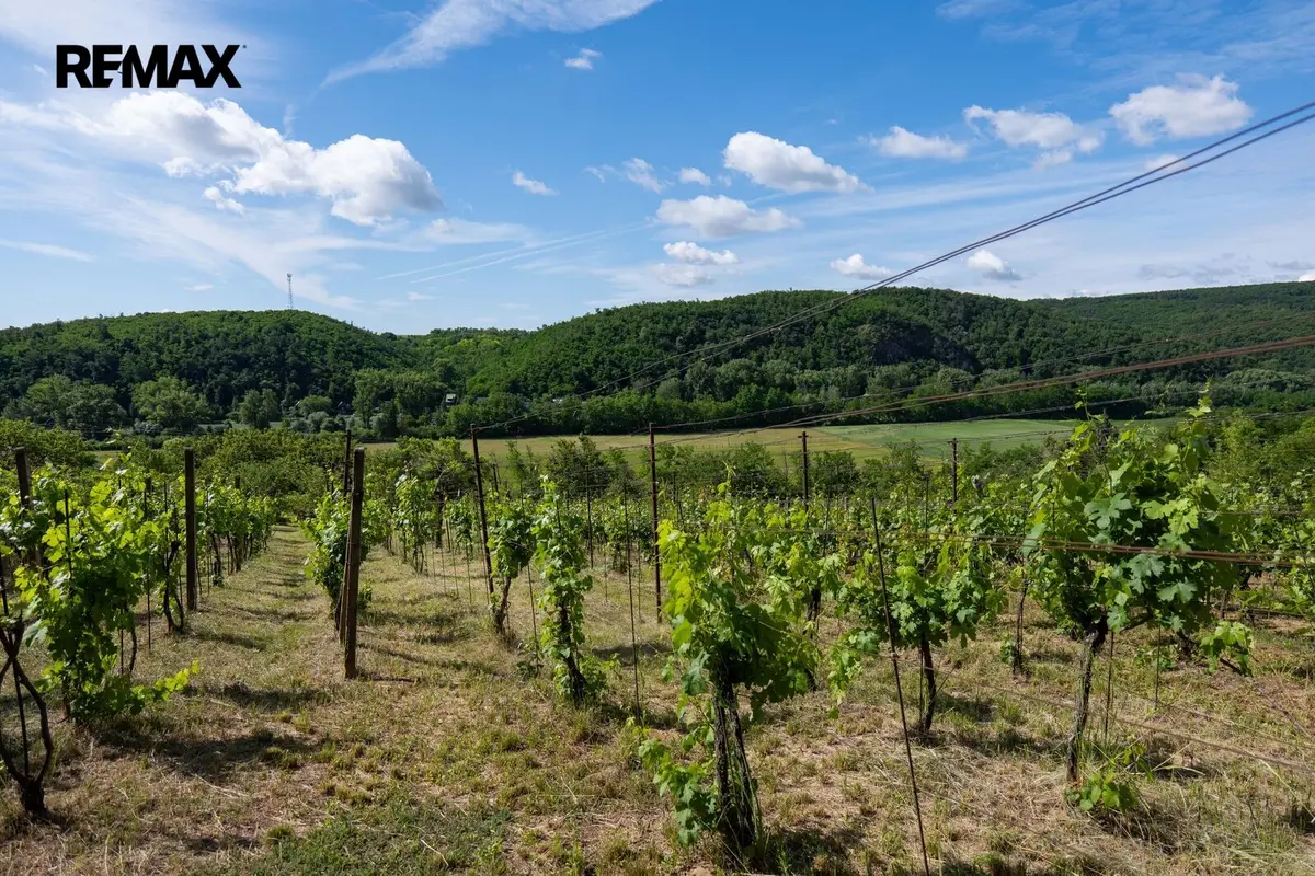 Prodej pozemku 2403 m², Moravské Bránice · okres Brno-venkov