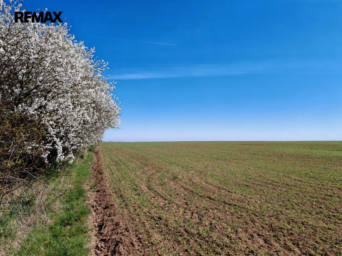 Prodej pozemku 29272 m², Úvaly – část obce Úvaly u Prahy