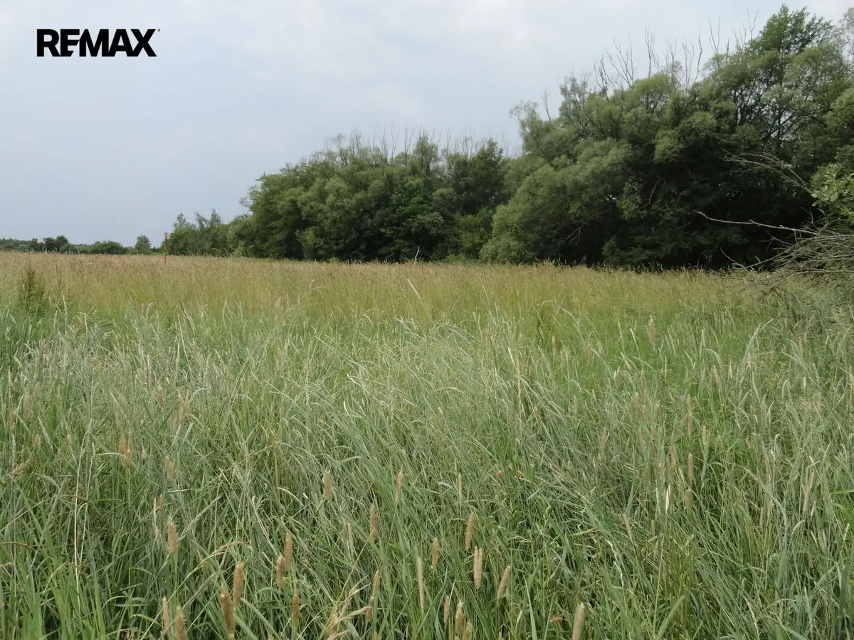 Prodej pozemku 1202 m², Rožmitál pod Třemšínem · okres Příbram