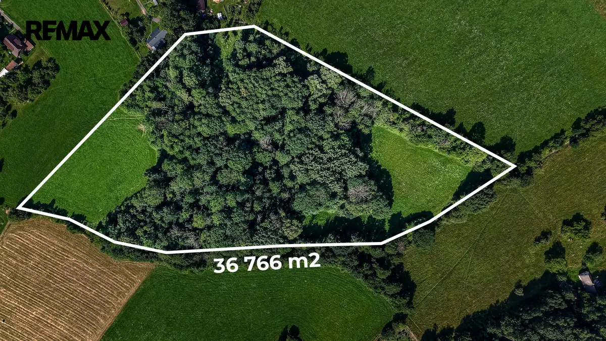 Prodej pozemku 36931 m², Vesec pod Kozákovem · Mírová pod Kozákovem