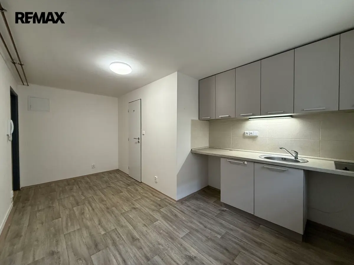 Pronájem bytu 1+kk 15 m², Skočice u Přeštic · Přeštice