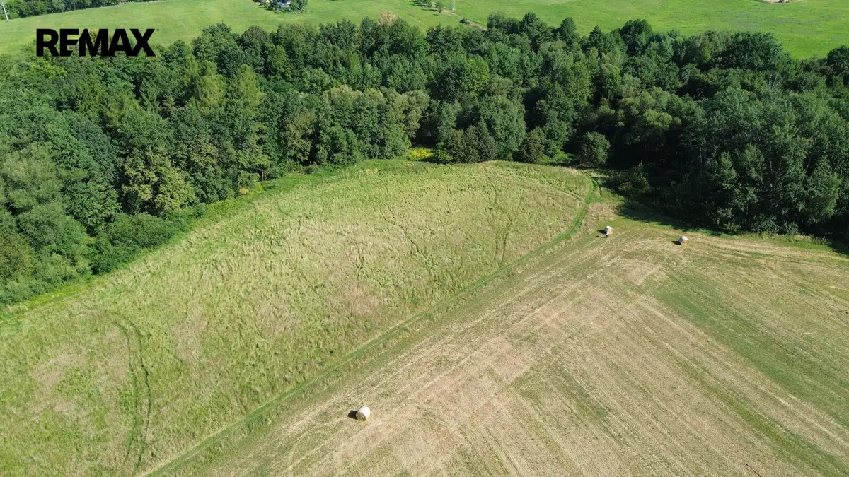 Prodej pozemku 7771 m², Sedliště – část obce Sedliště ve Slezsku