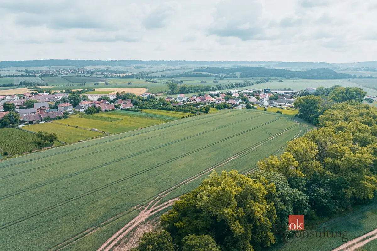 Prodej pozemku 2019 m², Nesuchyně