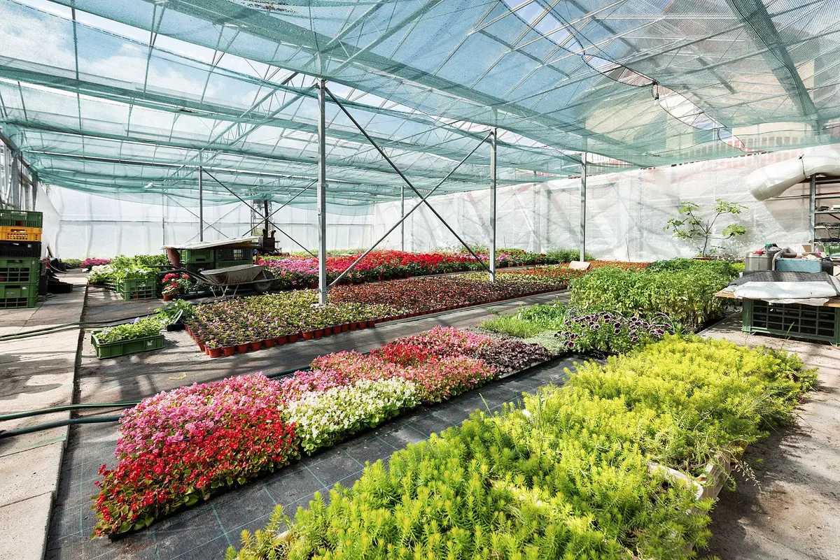 Prodej komerčního prostoru 956 m², Miřetice · okres Chrudim