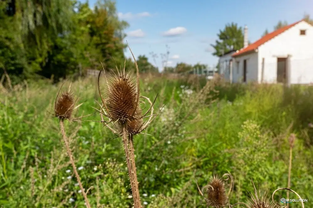 Prodej pozemku 202 m², Břeclav